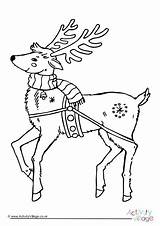 Reindeer Coloring Colouring Pages Antlers Flying Christmas Sleigh Getcolorings Printable Santa sketch template