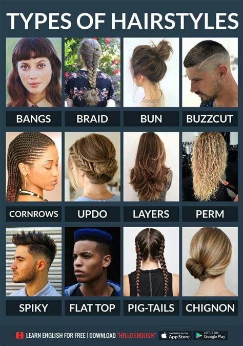 hairstyles vocabulary hairstyles vocabulary  hairstyles