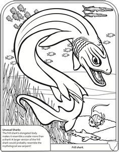 dinosaur  sharks coloring pages shark coloring pages