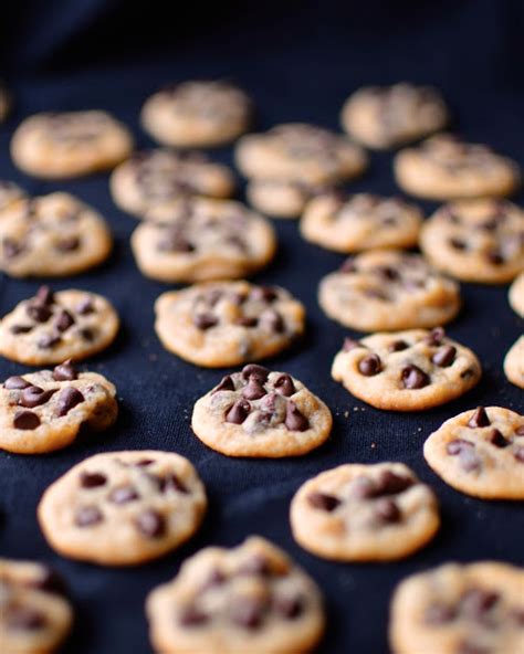 yammies noshery mini chocolate chip cookies