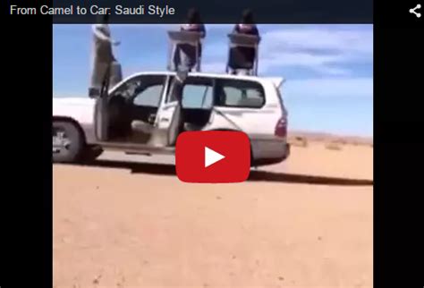 camel car qsaudicom