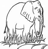 Elmer Coloring Elephant sketch template