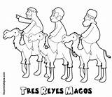 Magos Coloring Colorear Camello Navideños Fiestas sketch template