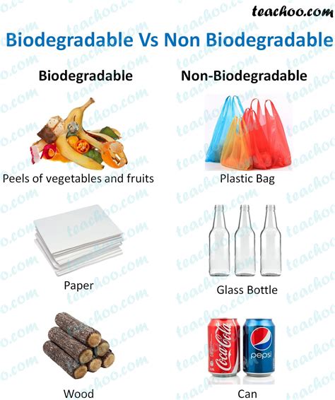 biodegradable   biodegradable materials  examples