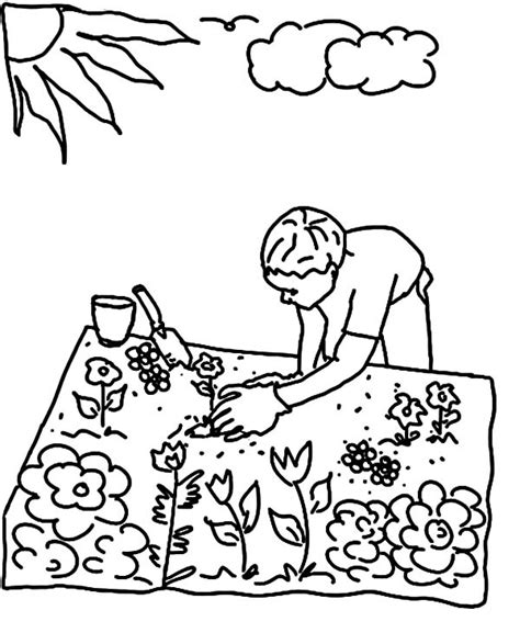 planting seed  flower garden coloring pages color luna