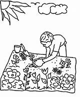 Coloring Pages Gardening Garden Planting Seed Flower Colouring Seeds Kids Plant Flowers Printable Color Raised Jug Drawing Sheets Colorings Spring sketch template