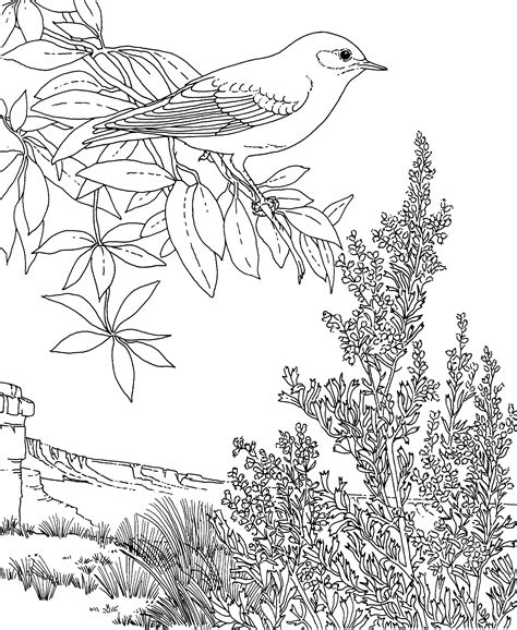 printable coloring pages  birds  flowers