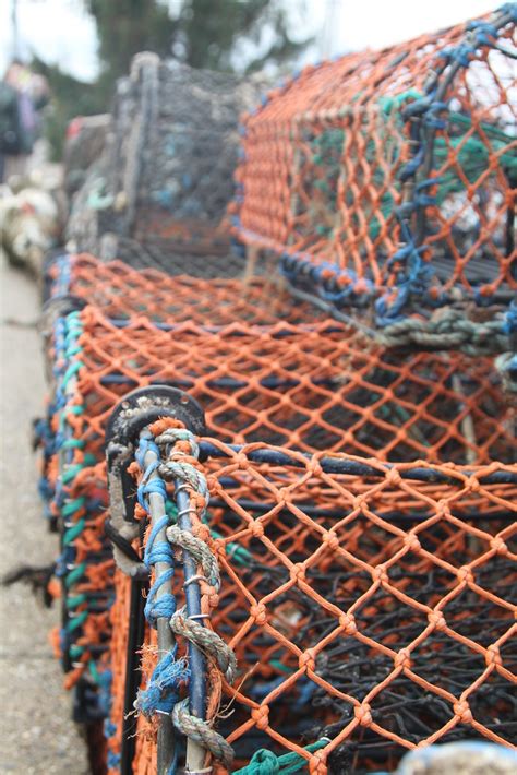 crab cage  picture    wells pepps flickr