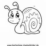 Schnecke Schnecken Ausmalbilder Ausmalen Tiere Malvorlagen Zeichnen Kinder Kostenlose Snail Kindergarten Ausmalbildkostenlos sketch template