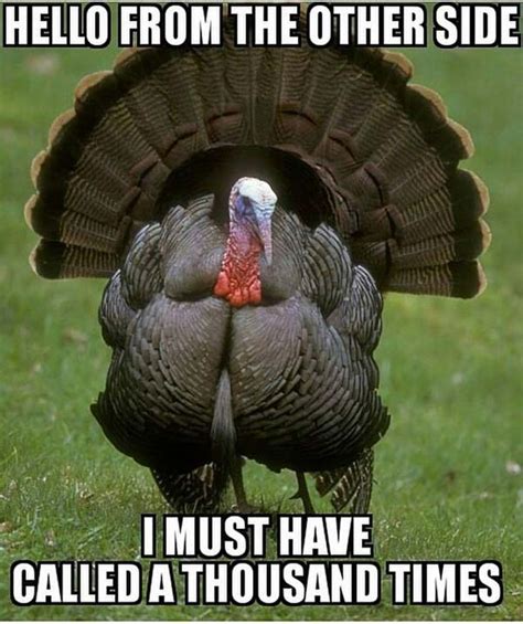 other side turkey meme turkey hunting
