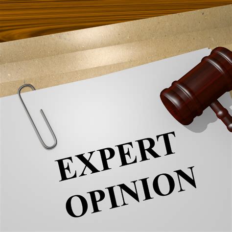expert opinion letter usa immigration company