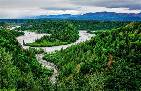 usa park scenery river forest denali alaska nature wallpapers hd desktop  mobile