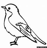 Birds Vogel Outline Robin sketch template