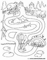 Coloring Maze Beaver Activity Sheet Pages Scenery Labyrinths Printable Book Educational Drawing Mountain Color Drawings Getdrawings Popular sketch template