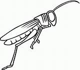 Grasshopper Locust Colorare Konik Disegni Gafanhoto Gafanhotos Coloring4free Cavalletta Insects Grasshoppers Malowanka Saltar sketch template