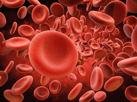 hemoglobin  disease  symptoms diagnosis treatment