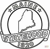 Coloring Pages Printable Maine State Flower sketch template