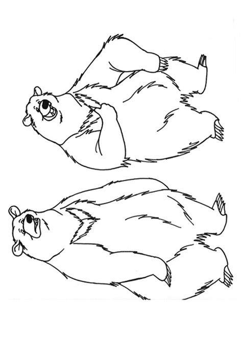 bears   laying