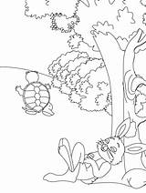 Tortoise Hare Coloring Pages Fables Kids Color Sheet Printable Bear Print Story Rabbit Animals Colouring Drawing Aesop Sheets Animal Gif sketch template