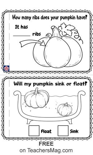 pumpkin investigation worksheet worksheets  kindergarten