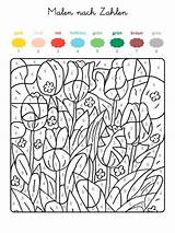 Zahlen Ausmalbild Ausmalen Ausdrucken Ganze Kostenlos Farben Frühling Frühlingswiese Familie Schule Gemerkt sketch template
