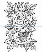 Rose Dxf Laser Vector Engraving Buds Cdr Machines  Kd Ameehouse Gmail Mail sketch template