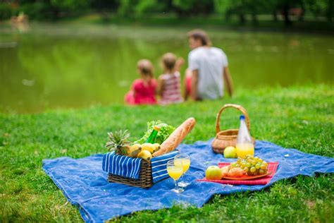 top picnic foods  attract pests accurate termite  pest control