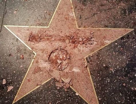 donald trumps  destructively removed  walk  fame star  vandals pics