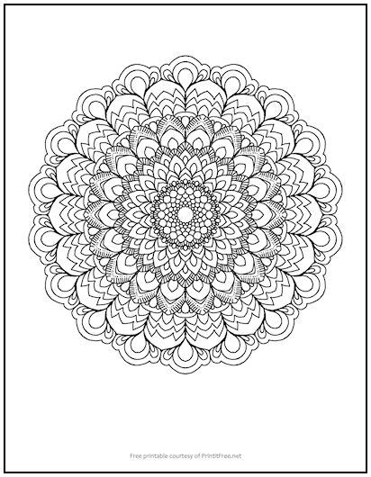 fancy flower mandala coloring page print