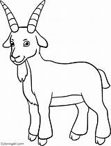 Goat Coloring Pages Farm Animals Cute Billy Smiles Easy Vector sketch template
