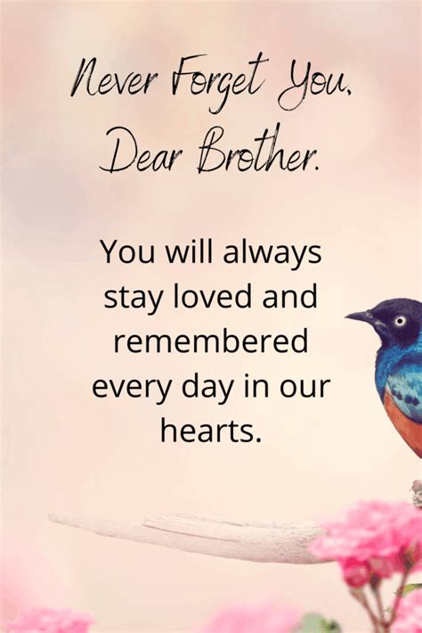71 Sympathy Messages For Loss Of Brother [with Images]