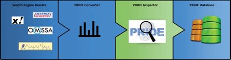 The Pride Submission Workflow Search Engine Results Containing