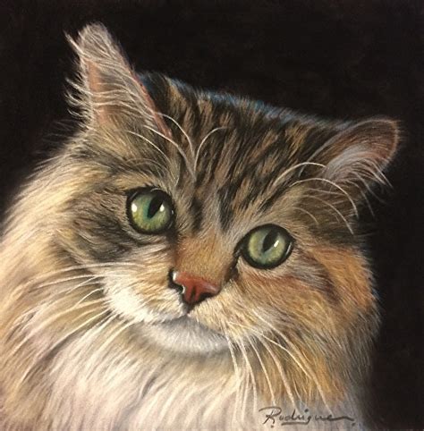 realistic cat portrait  pastel