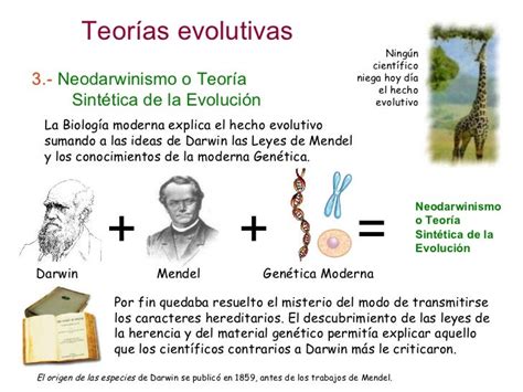 Evolución 3 Teorías Evolutivas