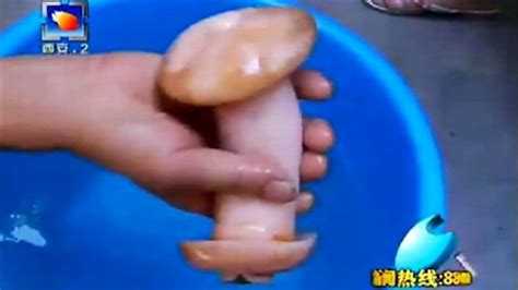 chinese news show confuses rubber vagina anus for special mushroom sick chirpse