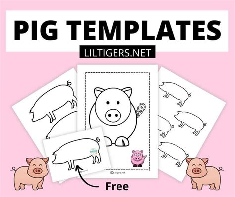 printable pig templates lil tigers