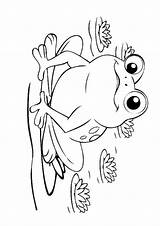 Coloring Pages Frog Etsy sketch template