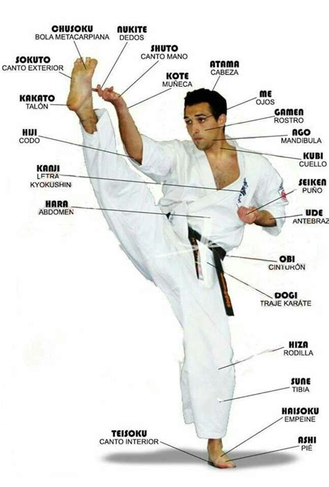 Pin By Daniel Richards On Ninja Shotokan Karate Martial