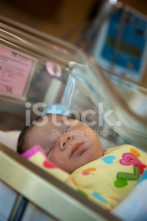 newborn baby stock photo royalty  freeimages