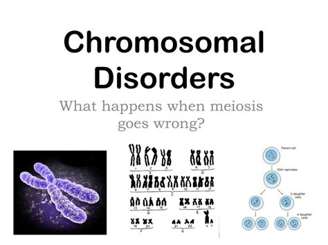 ppt chromosomal disorders powerpoint presentation id 2828522