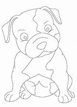 Pitbull Puppy sketch template