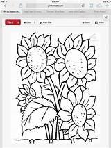 Patterns Printable Punch Needle Sunflower Pattern Coloring Bing Pages Embroidery sketch template