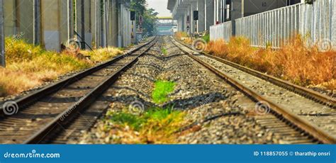 double track rail    standard railway track stock image image  nature natural