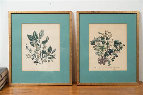 antique lithographs pair  framed prints  berries leaves fruit  flowers currant