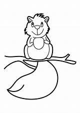 Coloring Squirrel Squirrels Pages Cute Cartoon Printable Kids Clipart Colour Library Coloringhome Popular sketch template