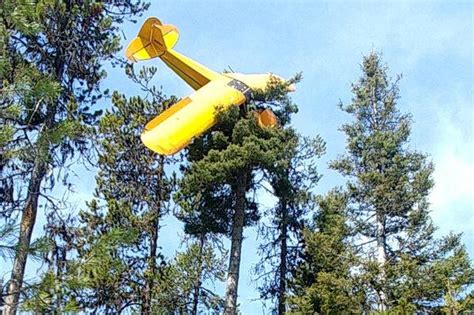 pilot survives crash  tree  mccall idaho  spokesman review