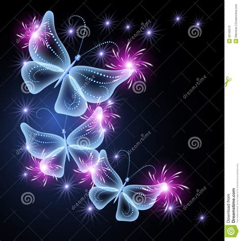 butterflies  stars stock  image