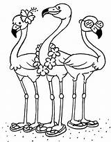 Flamingos Desenho Fazer Moldes Esses sketch template
