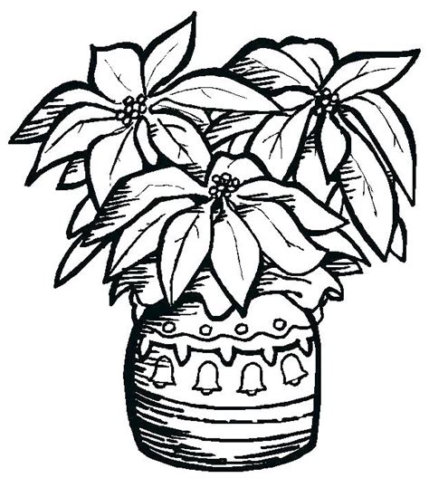 poinsettia coloring page clashing pride