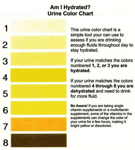 pee color stay hydrated pee color urinal   stay
